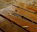 Picture Title - Table with Walnut Leaves