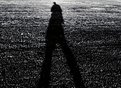 Picture Title - My Shadow