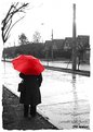 Picture Title - Waiting Under the Rain