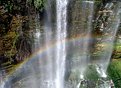 Picture Title - Swimming Under the Rainbow