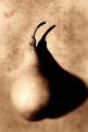 Picture Title - Sepia pear