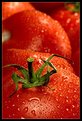 Picture Title - tasty tomatos