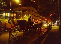 Picture Title - Carriage Rides