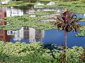 Picture Title - reflection on the water