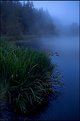 Picture Title - Misty Blue