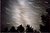 Tree Silhouettes Against the Milky Way