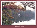 Picture Title - North Carolina Lake Reflection