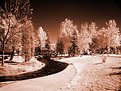 Picture Title - Creek and Wooden Bridge...(in Infra-Red)