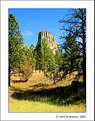 Picture Title - Devils Tower