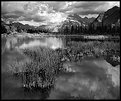 Picture Title - Reflections in B/W