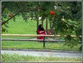 Picture Title - Lady in red