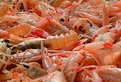 Picture Title - langoustines I