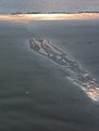 Picture Title - low tide trailings