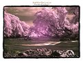 Picture Title - Segah River in Infra Red
