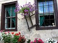 Picture Title - Old House & Flowers