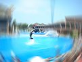 Picture Title - The world revolves around Shamu...