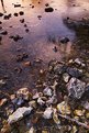 Picture Title - Sunset Stream