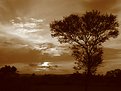 Picture Title - Sunset-Sepia