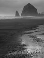 Picture Title - low tide at cannon beach