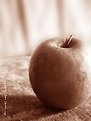 Picture Title - Apple for Teacher