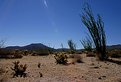 Picture Title - Anza Borrego