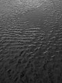 Picture Title - ripples of oregon sand