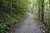 Path in Sugarcreek Park