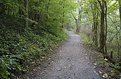 Picture Title - Path in Sugarcreek Park