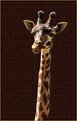 Picture Title - Giraffe 