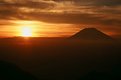 Picture Title - Orange Fuji