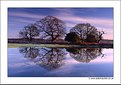 Picture Title - Reflections