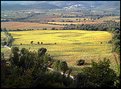 Picture Title - Colori toscani