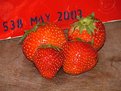 Picture Title - Strawberry for ever