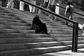 Picture Title - Woman on Stairs outside Reina-Sophia