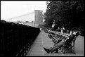 Picture Title - Brooklyn Promenade