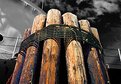 Picture Title - Pilings 2