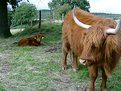 Picture Title - mother and daughter