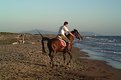 Picture Title - Cavallo sulla spiaggia