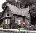 Picture Title - The Rose's house