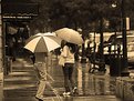 Picture Title - Rainy afternoon