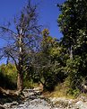 Picture Title - dry river bed