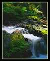 Picture Title - Orcas Island Waterfall