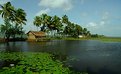 Picture Title - God's Own Country - Kerala