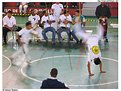 Picture Title - Capoeira Combat