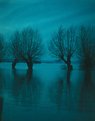 Picture Title - Hoog water