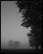 foggy land
