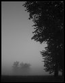 Picture Title - foggy land