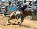 Picture Title - Ride 'em cowboy!!