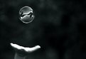 Picture Title - Hand and........soap bubble