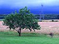 Picture Title - Field before the storm